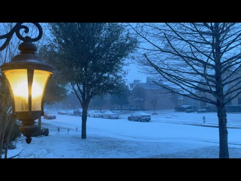First Snow Fall