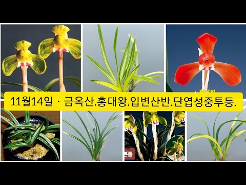 유튜브 썸네일