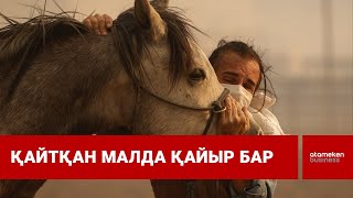 Жемқорлардың желкесінен шығарылған мол қаржы жайын табады