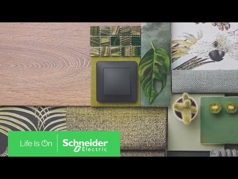 Discover Sedna - Botanical Style