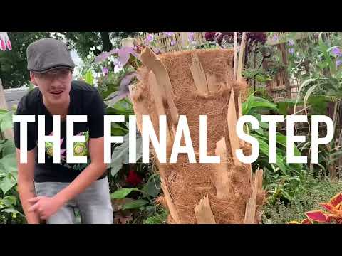 DIY TREE FERN (Homemade and cheap)