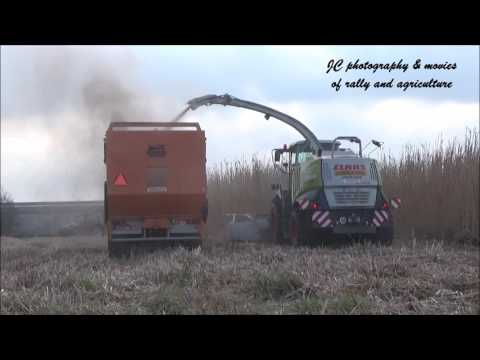 miscanthus hakselen loonwerken Vandemaele