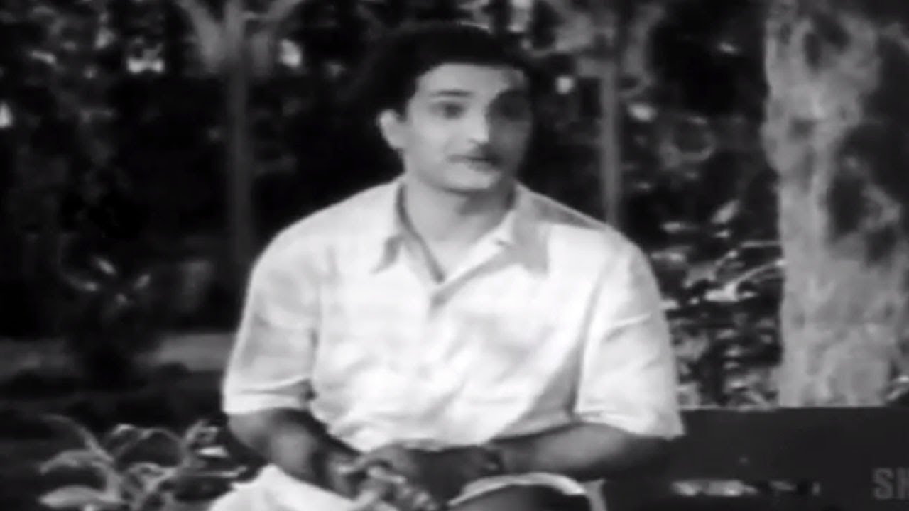 Avunantey Kaadaniley Lyrics  | Missamma Old | ANR, Jamuna, NT Rama Rao, Savitri, SV Ranga Rao | Nagi Reddy