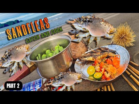 EP860-P2 - SandFleas Catch and Cook