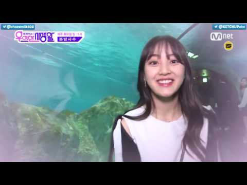 160412 [BẬT CC] VIETSUB TWICE Jihyo gửi tin nhắn đến bạn trai tương lai