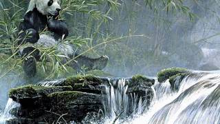 brides of destruction