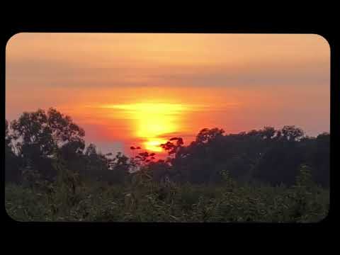 Beauties of Nature ... 🥰🥰🥰🥰