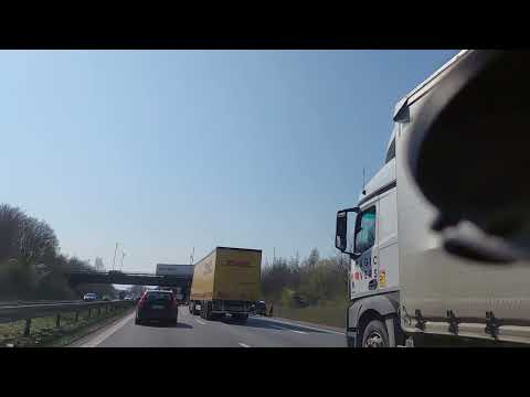 Well... they gotta pee too ✨️