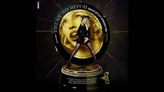 Madonna - Trust No Bitch (Idaho Bitchy Springy Mix)