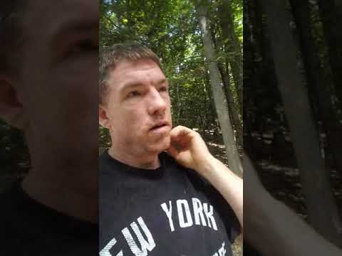 The Art Of Letting Go