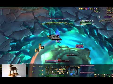 Yogg-Saron Alone in the Darkness 25 solo as a Retribution Paladin