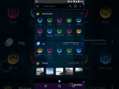 fooViewTheme - Black Golden Video