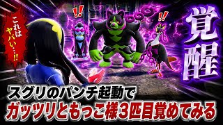 【スグリの#8】感情のまま殴った結果、全部最悪になった【ポケモンSVゼロの秘宝碧の仮面実況ストーリー】