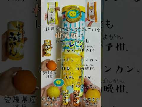 薬学科 瀬戸内の柑橘類