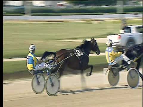 Trotto 18/05/2018 - 5ª corsa