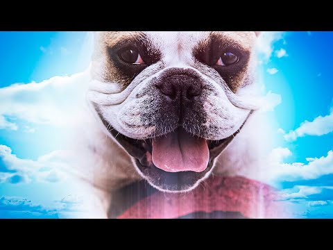 SENTIREMOS SAUDADES YUFFIE 😢💔