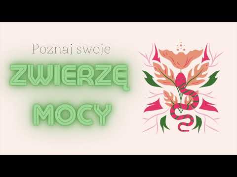 Poznaj swoje zwierzę mocy (przewodnika duchowego)- medytacja