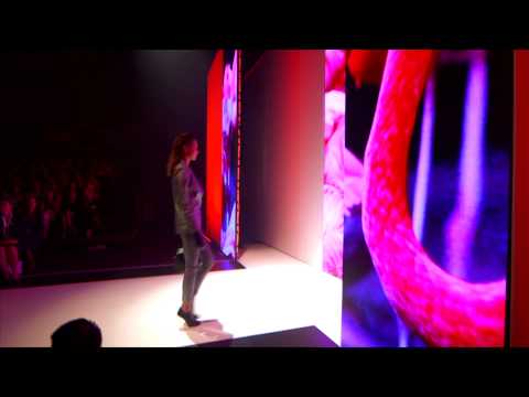 LMFF 2013 - L'Oréal Paris Runway 03