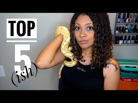 Top 5 Best Beginner Snakes