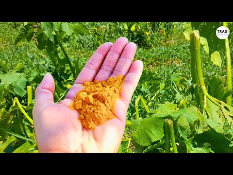 QUICK SOLUTION after HAIL/ICE/HAIL