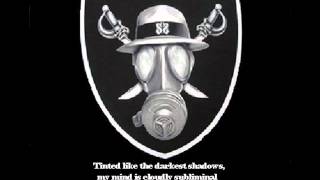 Psycho Realm - confessions of a drug addict with lyrics.wmv