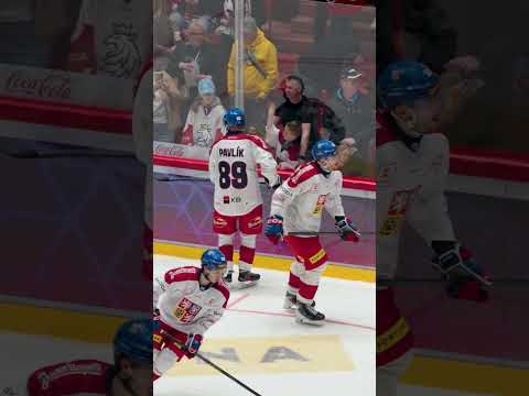 Trénovat na nároďák? To půjde lépe s pukem od našich reprezentantů. 🥹