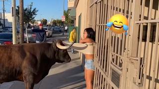 Try Not To Laugh 🤣 Top 100 Funniest Videos 2026 🎬🔥 Best Memes, Epic Fails & Pranks Compilation #5