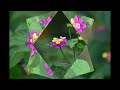 Keith Jarrett(G.I.Gurdjieff) - Religious Ceremony (1980)