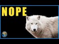 Are Dire Wolves Really Back?
