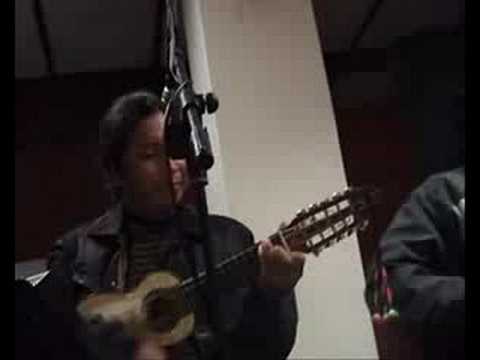 "LATIN-YAWAR" Estrella de la Noche