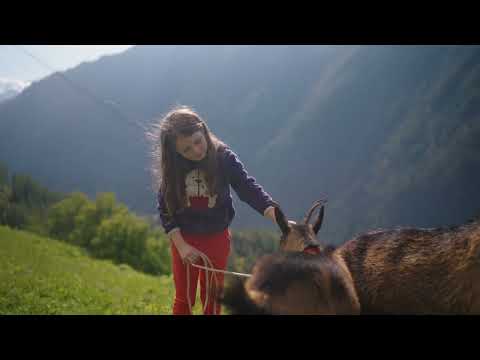 SBJ Jungbergbauernpreis 2025: Martina Illmer und ihr Mann Manfred Mazol  vom Monferthof in Schnals