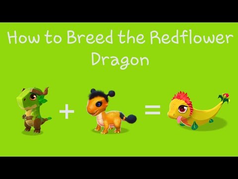 How to Breed the Redflower Dragon | DML Windows Gameplay #48