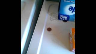 Magic armandhammer kali m.