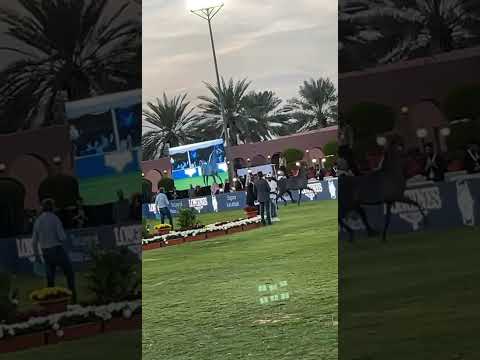 عز الخشاب لمربط الخشاب ،،العرض الدولي الخامس للخيل العربية الاصيلة بديراب