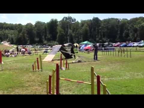 Kylee Allschwil 14 07 2012 Off  1  Rang vo 53 Hönd