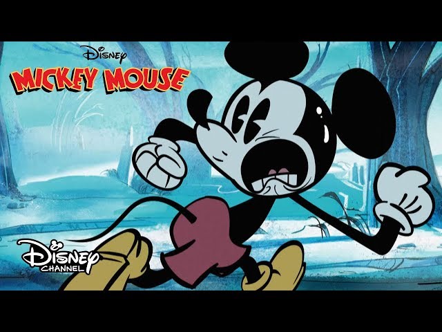 Vídeo relacionado con Folat 93826P Línea de bandera FSC Mickey Mouse - 2,3 metros
