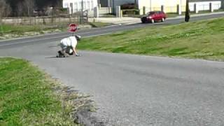 preview picture of video 'NOLA Longboards Freeride testing'