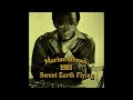 Marion Brown  - Sweet Earth Flying (1981)