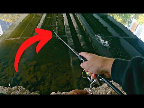 Unglaublich, was unter dieser Brücke lauert 😱