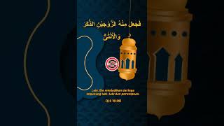 Download lagu Qs. Al-Qiyamah 75 Ayat 39 #alquran #hadist #cinosreligi #alqiamah #qiamat #shorts mp3