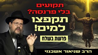 תקועים בלי שידוך או פרנסה? לומדים לקפוץ למים! השיעור המרכזי פרשת בשלח | הרב שניאור אשכנזי