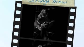 Pontus Snibb's Wreck Of Blues - Live in Sweden