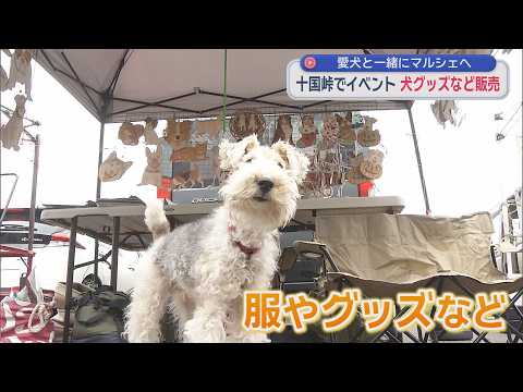 YouTube Video 愛犬と一緒にマルシェを楽しむ「AtaWanマルシェin十国峠」５０店舗が出店し様々なわんこグッズを販売