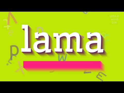 LAMA - HOW TO PRONOUNCE LAMA?