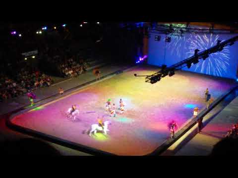 Apassionata - Gefährten des Lichts 17.6.2018 SAP Arena Mannheim