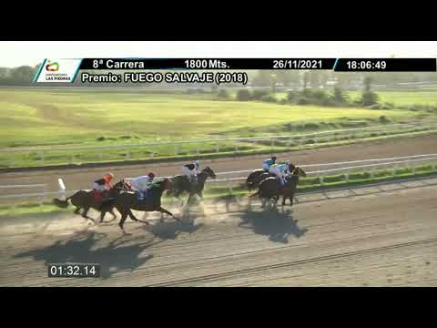 211126 c08 - MORANGO - HIPODROMO LAS PIEDRAS