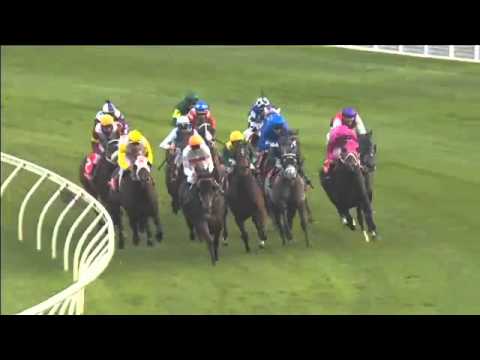 Randwick Race 8 April 16th 2016 - JAPAN RACING ASSOCIATION PLATE