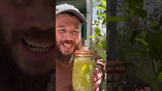 לימון כבוש מתכון בתגובה