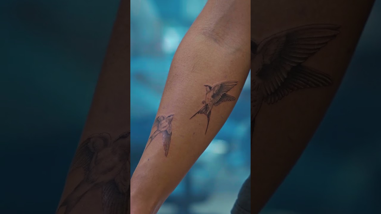 Bird Tattoo Idea: Fine line Swallows Tattoo
