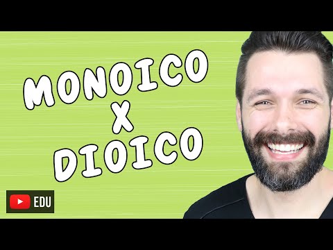 MONOICO E DIOICO | Biologia com Samuel Cunha
